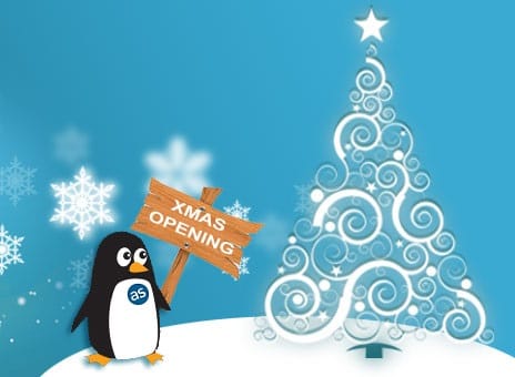 Business IT Support- Christmas Opening