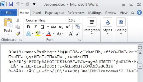 encrypted-document-cryptolocker