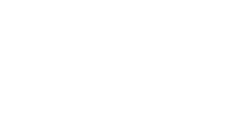 European Partners Winner