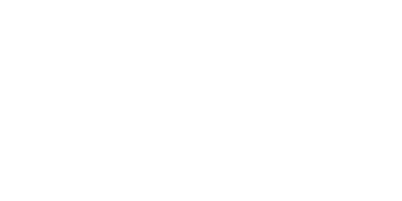 Silver Microsoft Partner